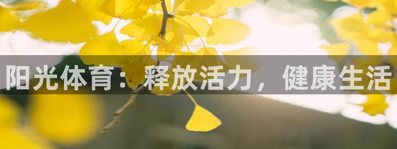 球速体育：阳光体育：释放活力，健康生活