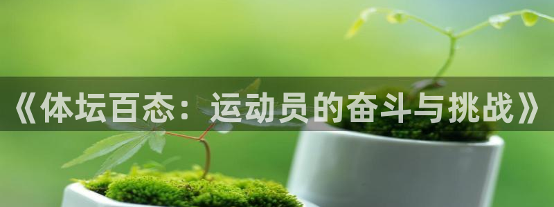 球速体育：《体坛百态：运动员的奋斗与挑战》