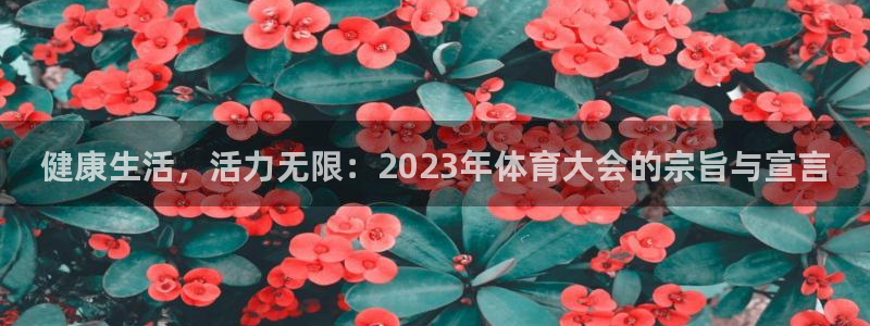 球速体育：健康生活，活力无限：2023年体育大会的宗旨与宣言