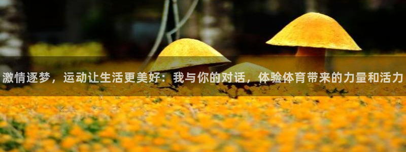 球速体育：激情逐梦，运动让生活更美好：我与你的对话，体验体育带来的力量和活力
