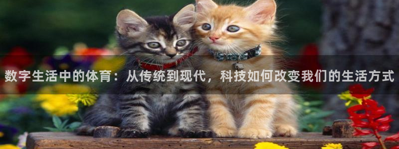 球速体育：数字生活中的体育：从传统到现代，科技如何改变我们的生活方式