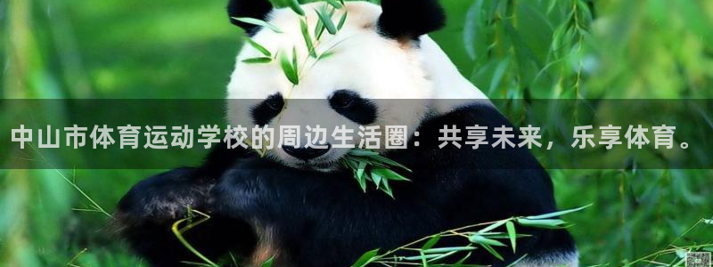 球速体育：中山市体育运动学校的周边生活圈：共享未来，乐享体育。