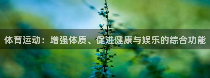 球速体育：体育运动：增强体质、促进健康与娱乐的综合功能