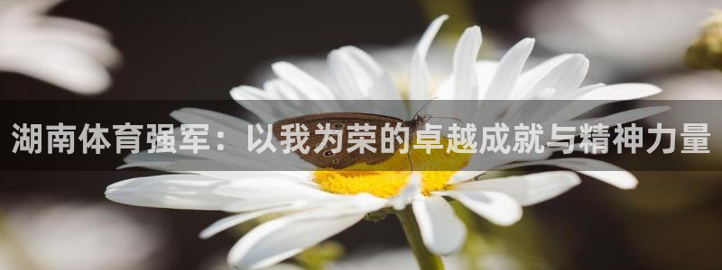 球速体育：湖南体育强军：以我为荣的卓越成就与精神力量