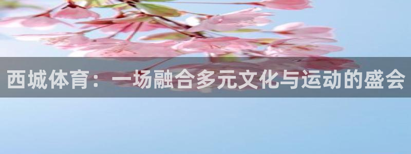 球速体育：西城体育：一场融合多元文化与运动的盛会