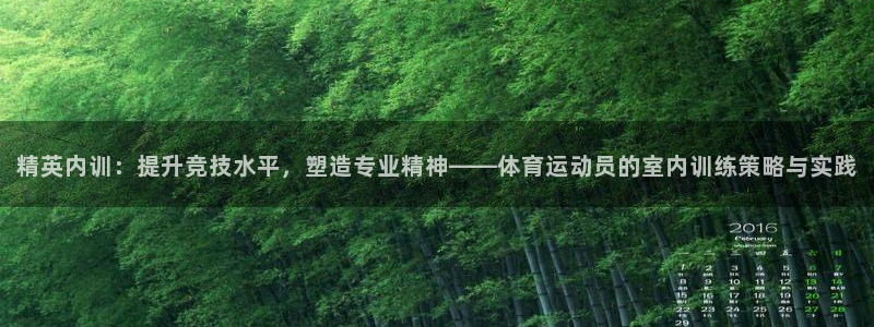 球速体育：精英内训：提升竞技水平，塑造专业精神——体育运动员的室内训练策略与实践