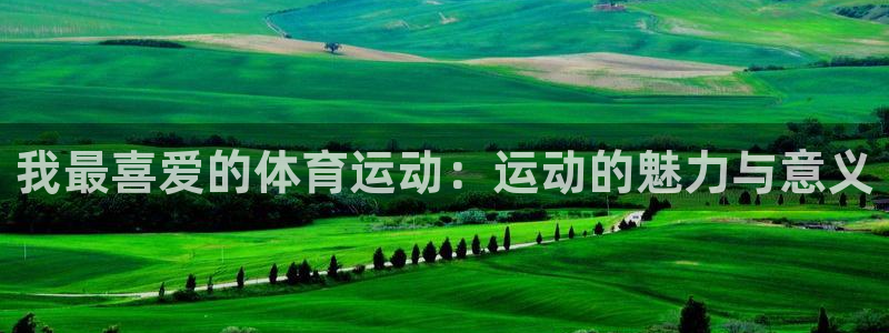 球速体育：我最喜爱的体育运动：运动的魅力与意义