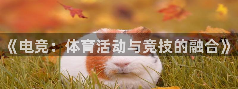 球速体育：《电竞：体育活动与竞技的融合》